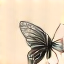 Metamorph Collective Logo